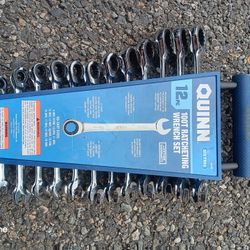 QUINN 100 Tooth Metric Ratcheting Combination Wrench Set, 12-Piece