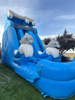 18 ft tall dual waterslide