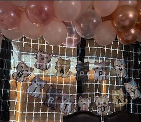 Kitty birthday decor