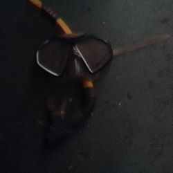 Dive Masks and Snorkels