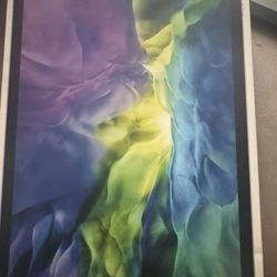 iPad Pro 11 Inch 2nd Generation 