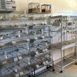 Bird Cage/canaries