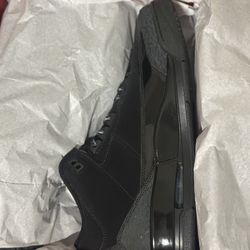Air Jordan 3 Black Cat