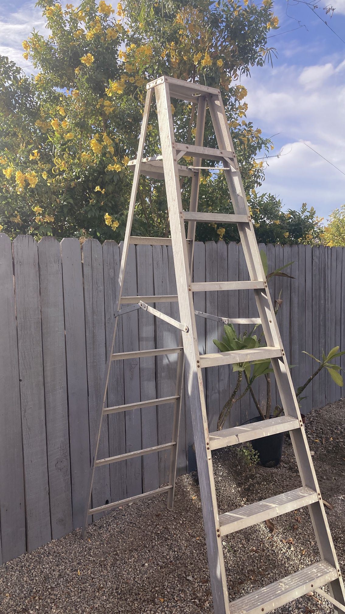 Ladder 8 Ft