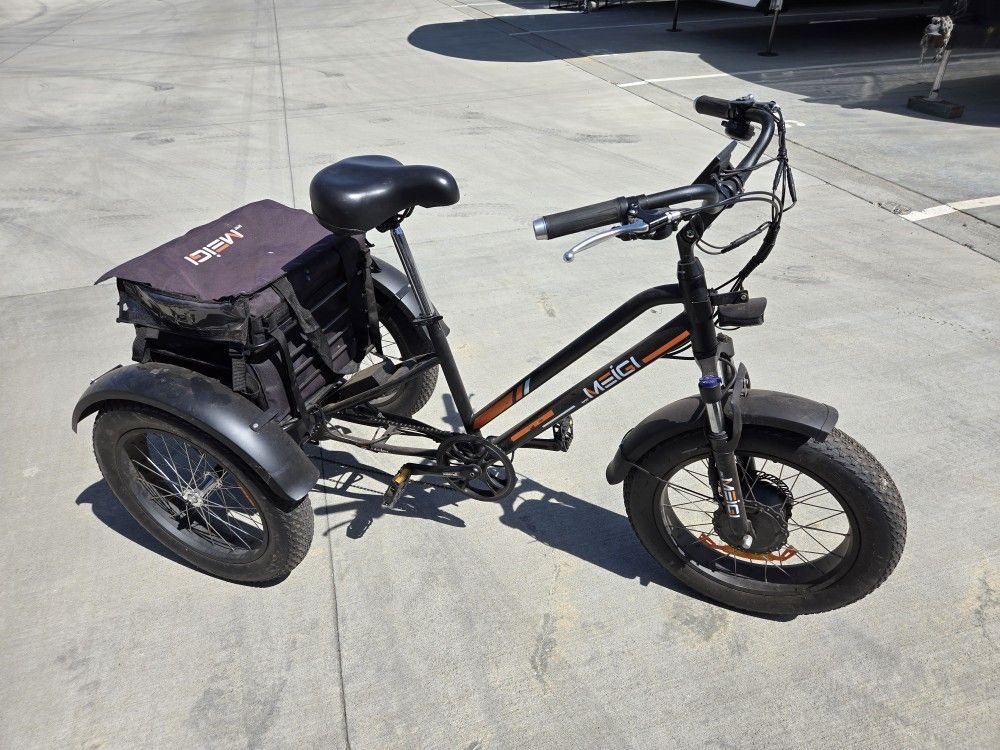 Ebike Dwmeigi Trike 2023