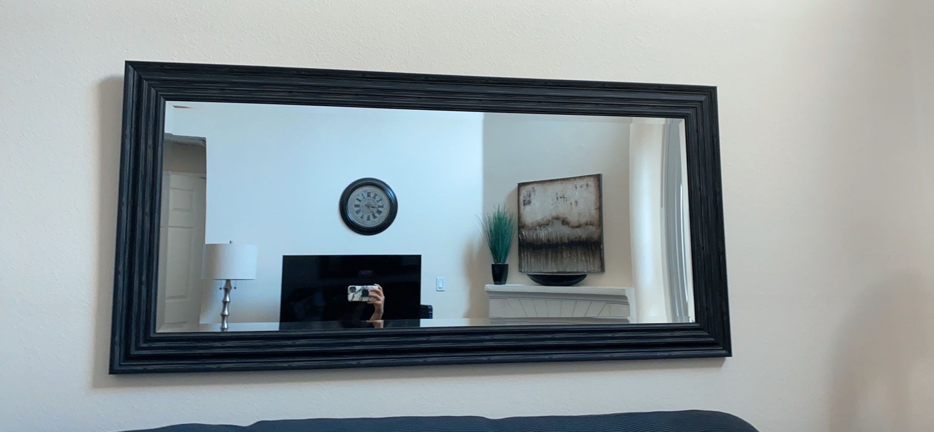 Large wall mirror (originally $200)