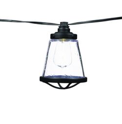 Outdoor/Indoor 11 Ft. Plug-In LED ST38 Vintage Bulb String Light With Seedy Cage (10-Heads) 