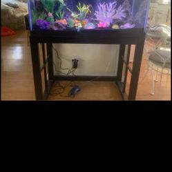 40 Gallon Aquarium With stand