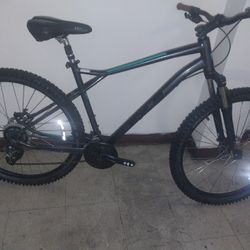 Gt Sport Large 29ers
