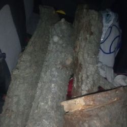 Make Offer Firewood