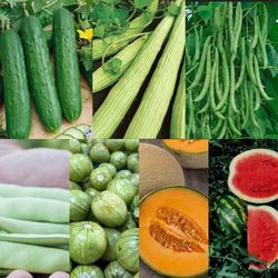 Organically grown Vegetable Plants for sale