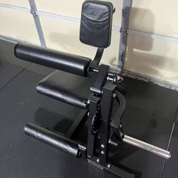 GMWD Leg Extension and Leg Curl Machine