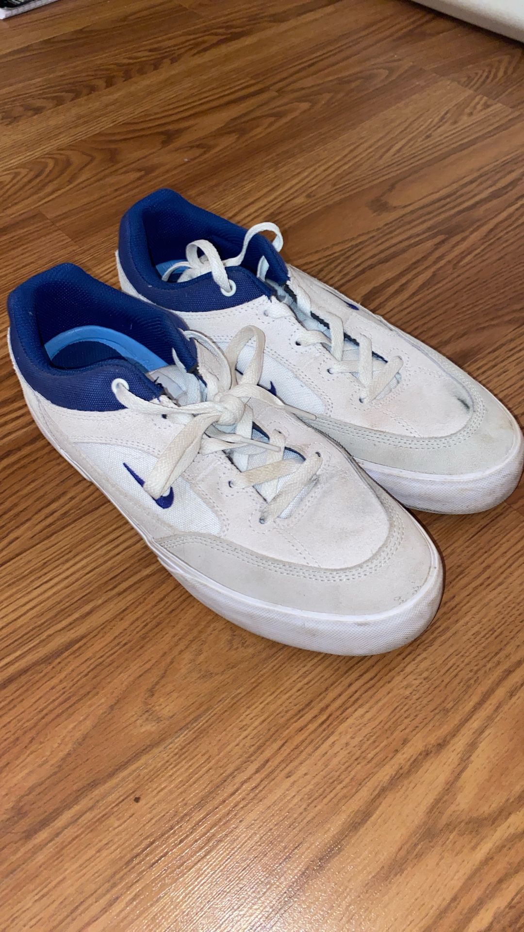 Nike SB Men (Size 8)