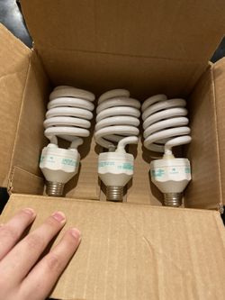 Light bulbs