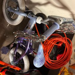 12” Frozen Bike Comes With Training Wheels If Needed