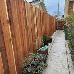Fence Y Jardin 