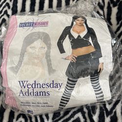 Wednesday Adams Costume 