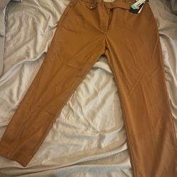 DKNY Faux Pocket Double Button Tab Pant Brown Size 14 