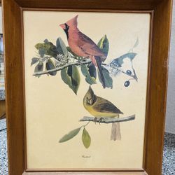Framed print "Cardinal Grosbeak"