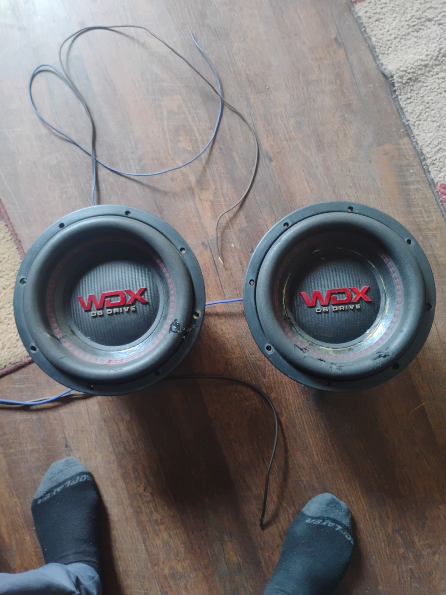 10" subwoofer