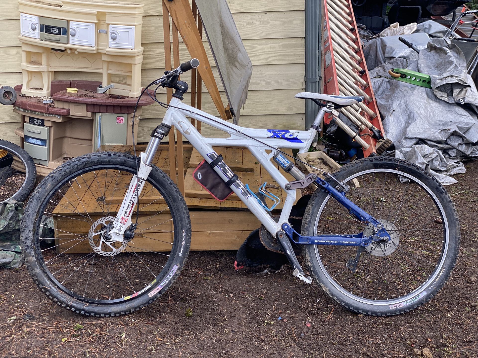 1999 DBR X6 Mountain Bike