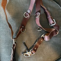 Camera Harness 