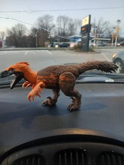 Utah RAPTOR