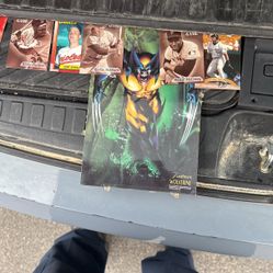 Baseball cards and a fleer wolverine