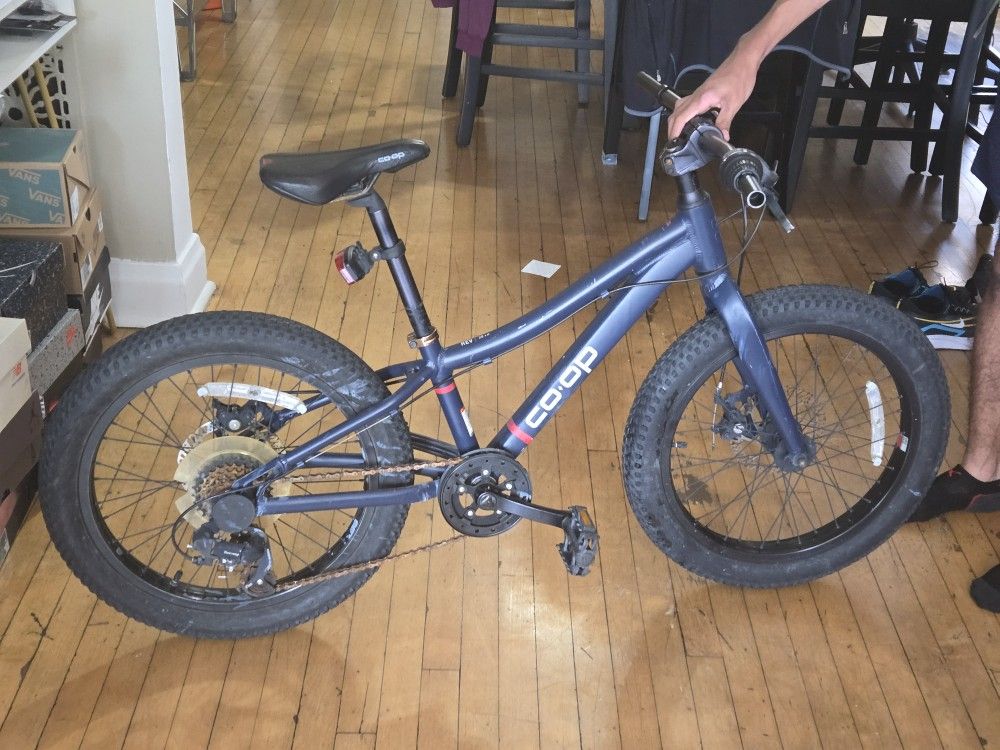 REV 20 6-Speed Plus Kids' Mountain Bike