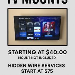 Mounted TV