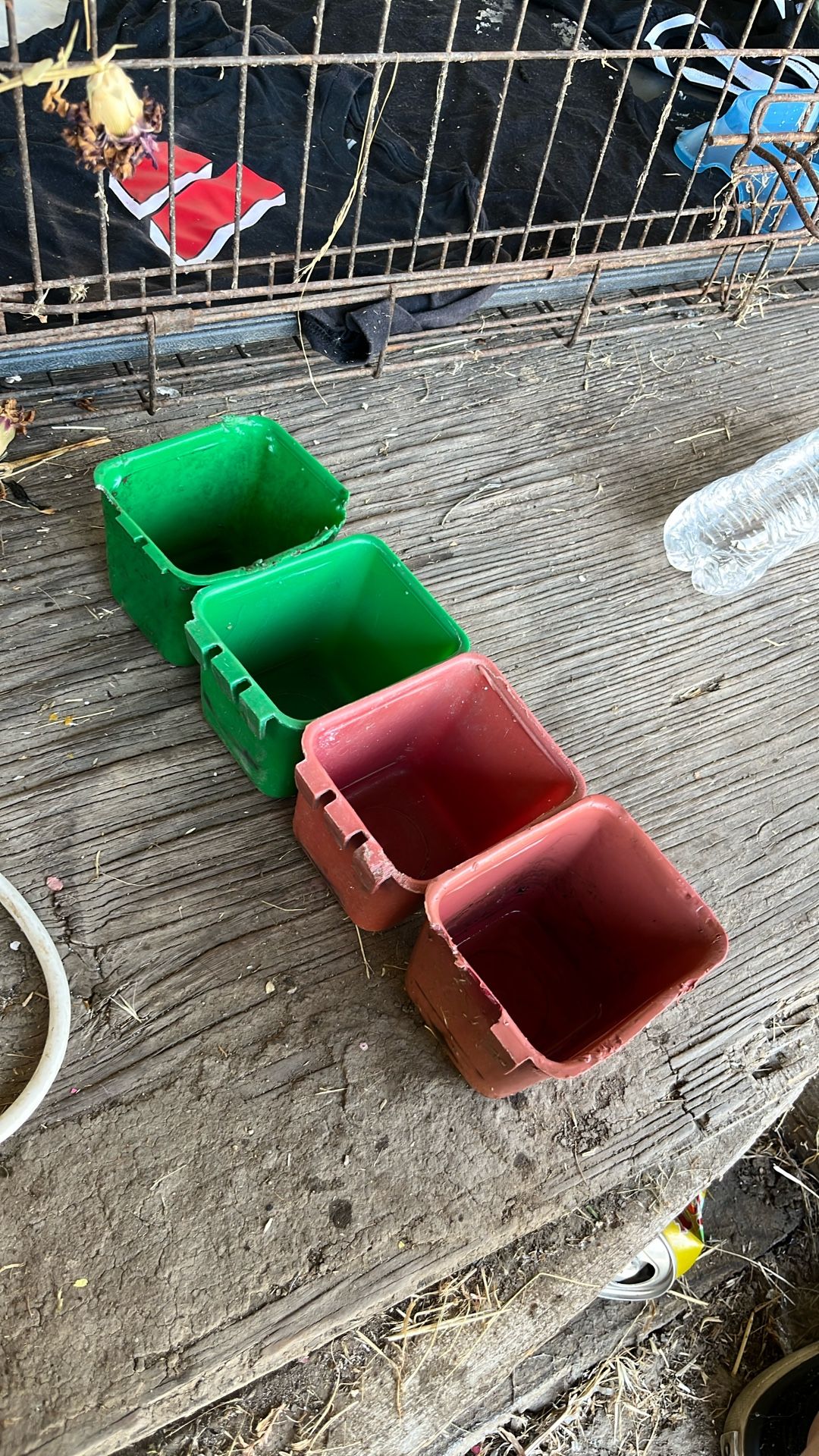Chicken Trays