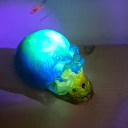 decorative skulls 💀 and ash trays