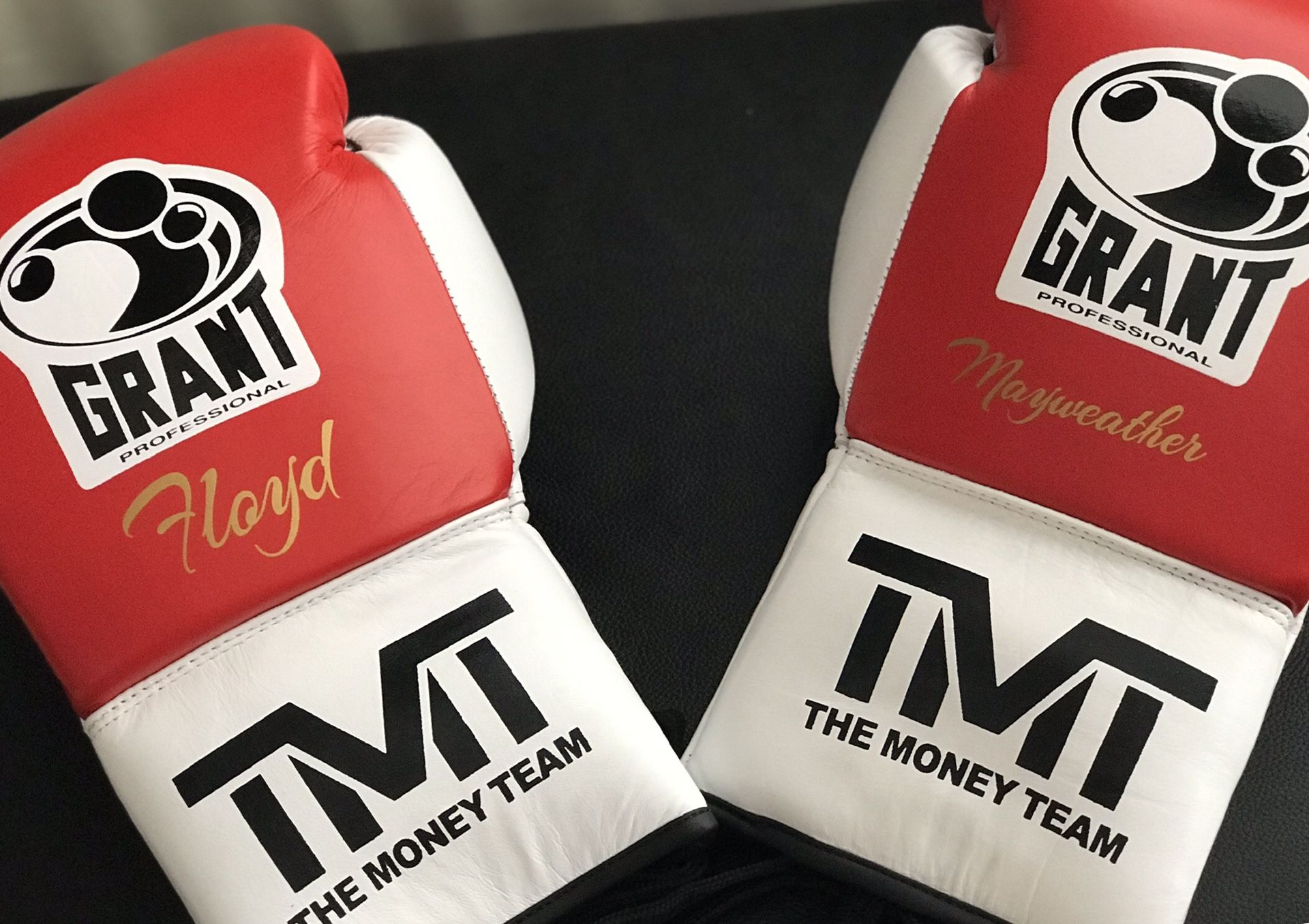 Floyd Mayweather TMT Special Edition Boxing Gloves