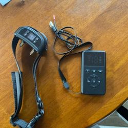 2-in-1 wireless dog fence system_gps and Remote