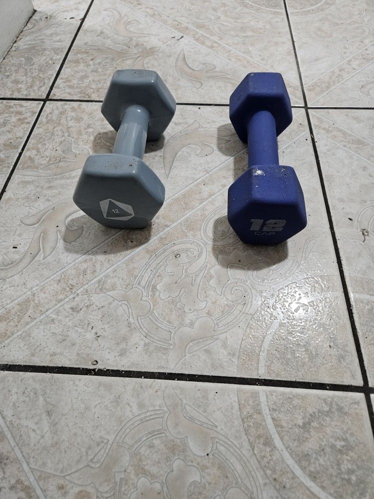 12 Lbs of Dumbbells