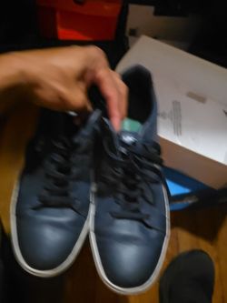 Size 12 lacoste