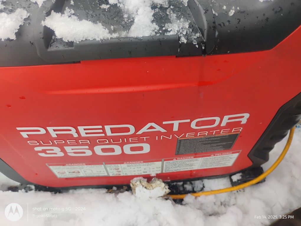 Predator