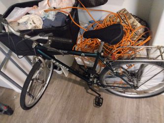 Magna Gemini Point Adult Bicycle