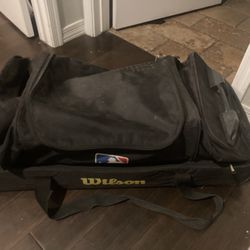 Baseball Bag