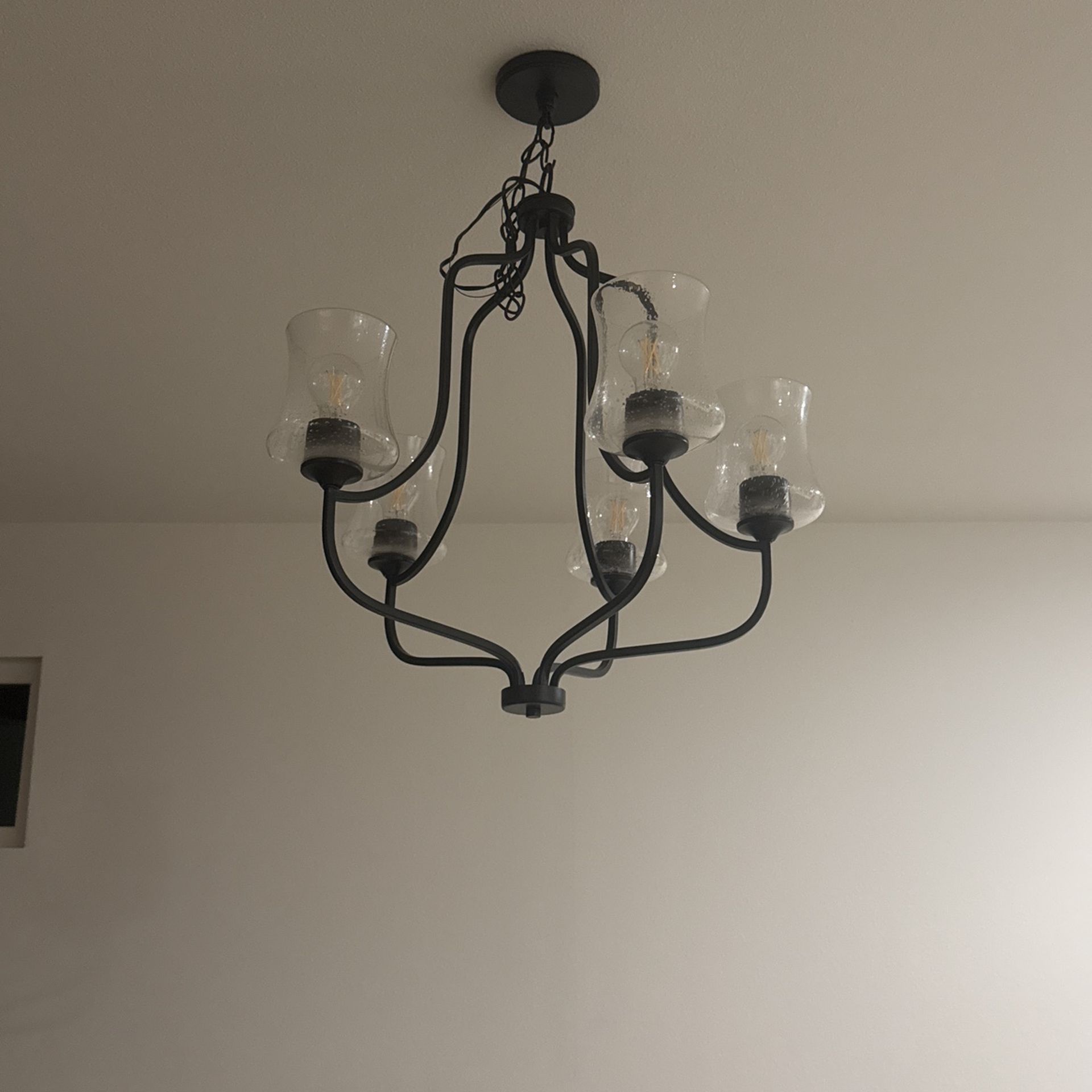 Light Fixture