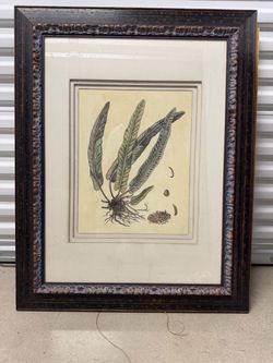 Framed Botanical Fern Print