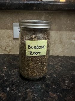 Burdock Root - Herbal tea apothecary herbalism holistic