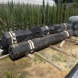 Post powdered coated 10.5 feet tall  2 3/8 w20