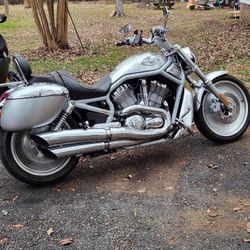 100th Anniversary Harley Davidson VROD