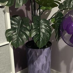 Fake Monstera Silk Tree 