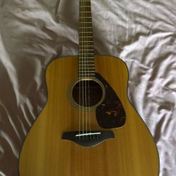 Acoustic guitar