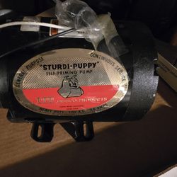 Jabsco Pump Motor