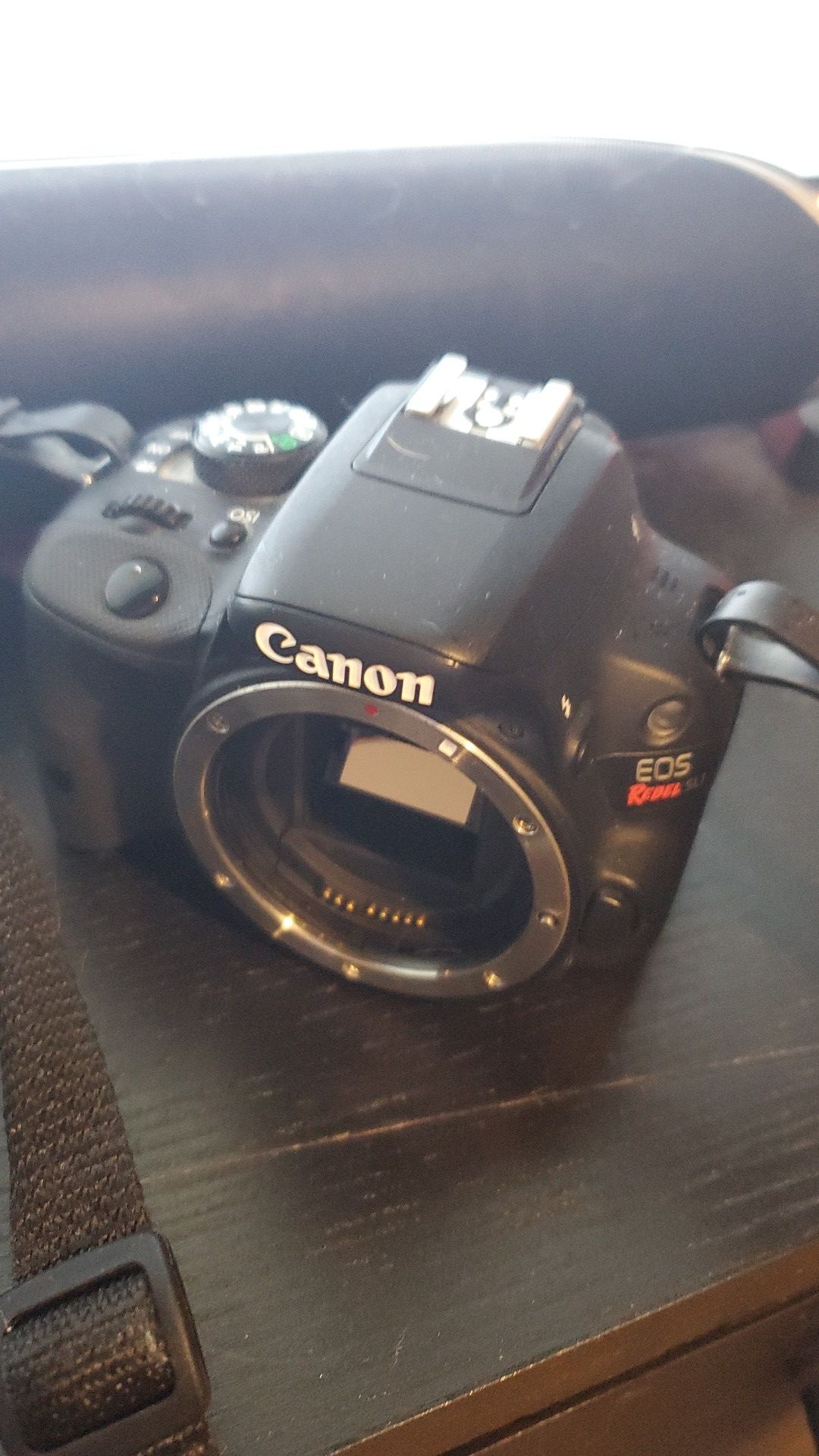 Canon Rebel SL1 and some lenses