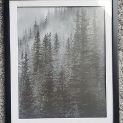 Framed Forest Art Print