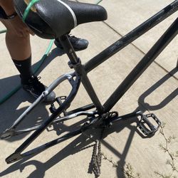 crew 29er frame